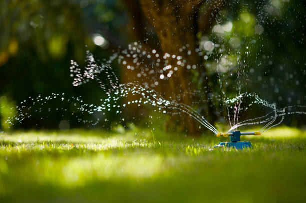 How to trim grass around sprinkler heads