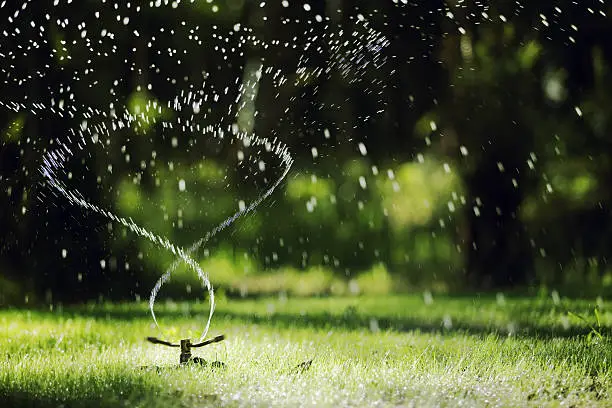 How to trim grass around sprinkler heads